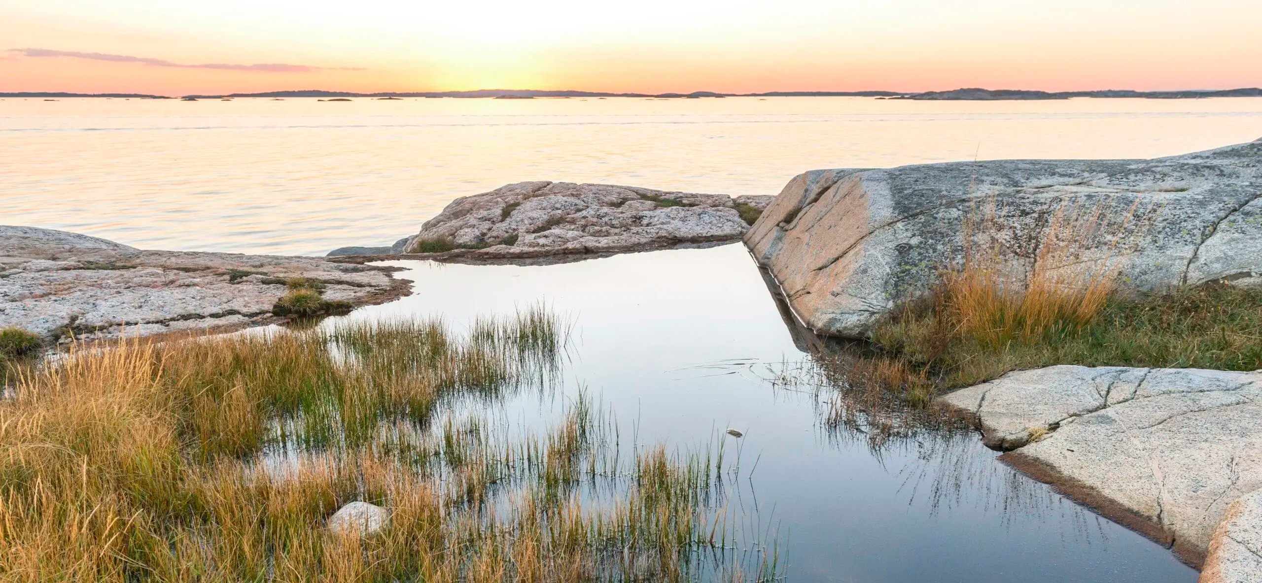 Stora Amundön: Ett paradis för fågelskådare