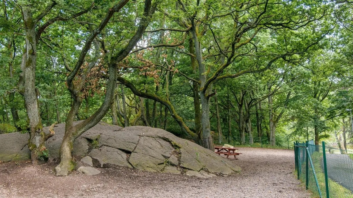 Keillers Park: Nature and Art in Gothenburg