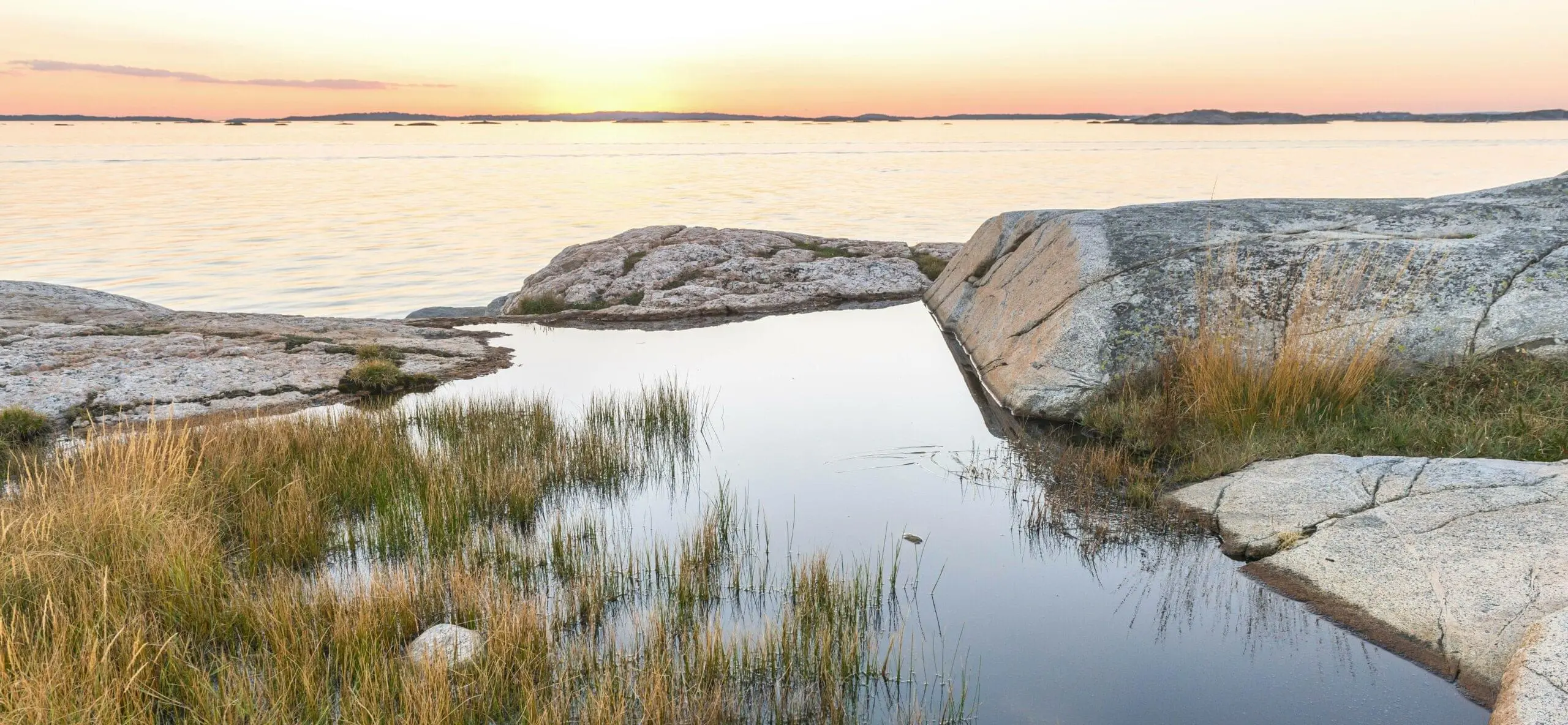 Stora Amundön: A Birdwatcher's Paradise
