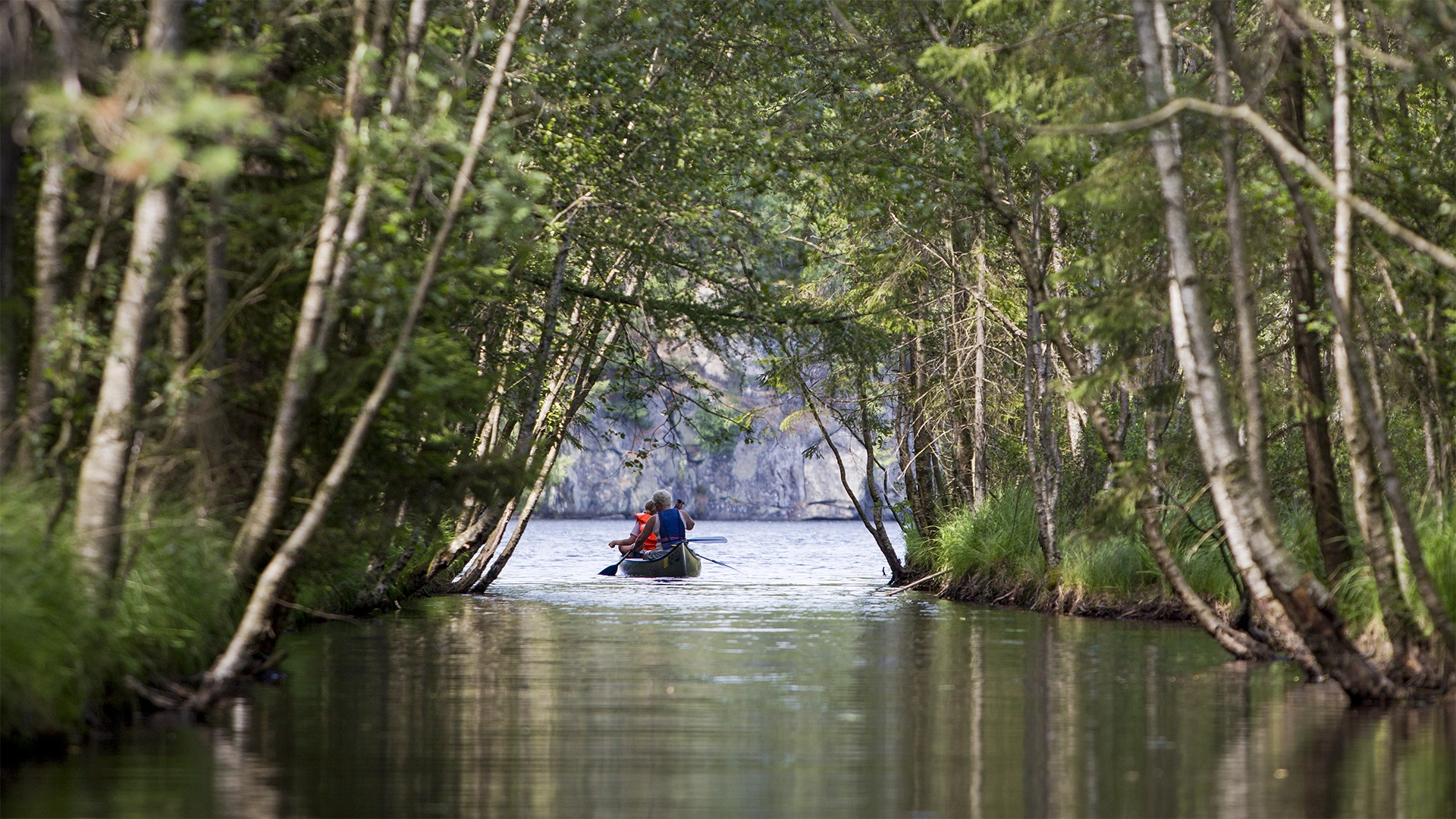 Discover Gothenburg: Vättlefjäll Nature Reserve
